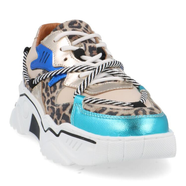 DWRS Label J5554c jupiter J5554C Jupiter large