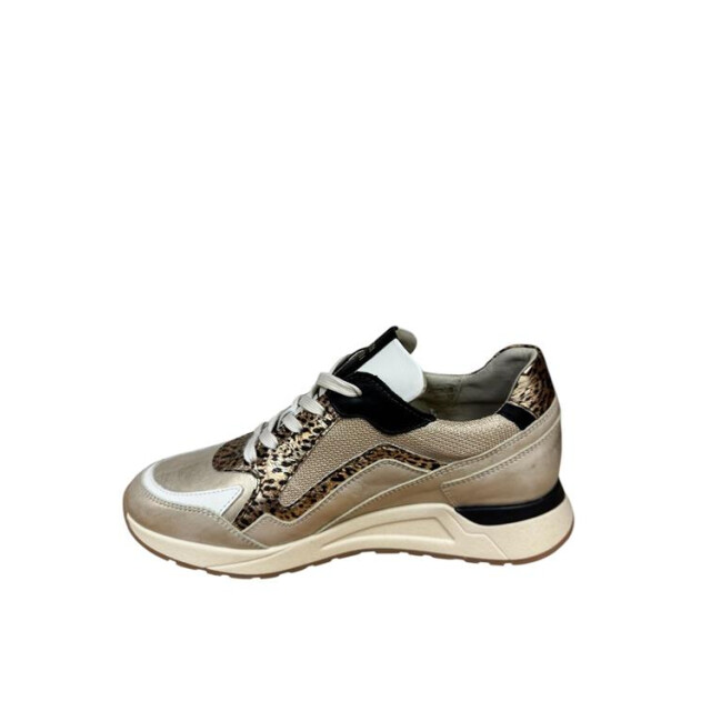 Piedi Nudi Selva 17.46 Sneakers Print / Multi Selva 17.46 large