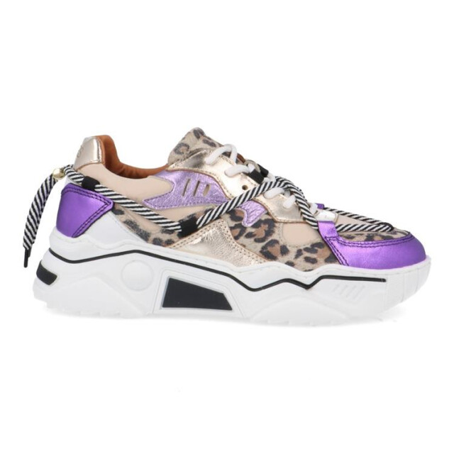 DWRS Label J5554c jupiter J5554C Jupiter large