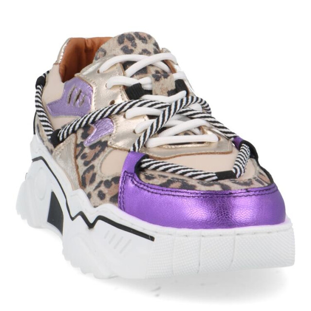 DWRS Label J5554c jupiter J5554C Jupiter large