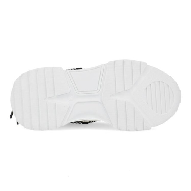 DWRS Label J5554c jupiter J5554C Jupiter large