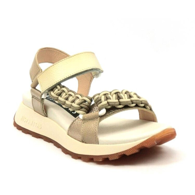 Hispanitas Hv253898 HV253898 large