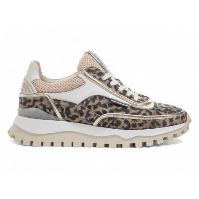 Floris van Bommel SFW-10131 Sneakers Bruin SFW-10131 large