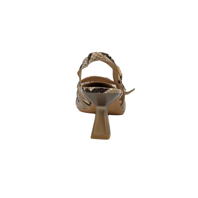 Hispanitas Hv254079 HV254079 large