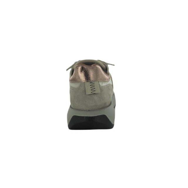 Cetti C1311 C1311 large