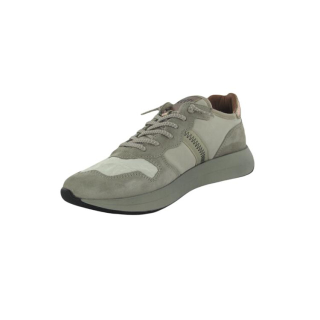 Cetti C1311 C1311 large