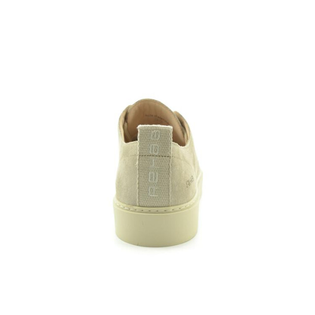 Rehab 2512 359101 ozzy 2512 359101 Ozzy large