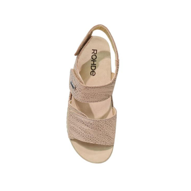 Rohde 5229 5229 large