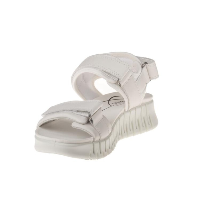 ECCO 213103 GRUUV Sandalen Wit 213103 GRUUV large