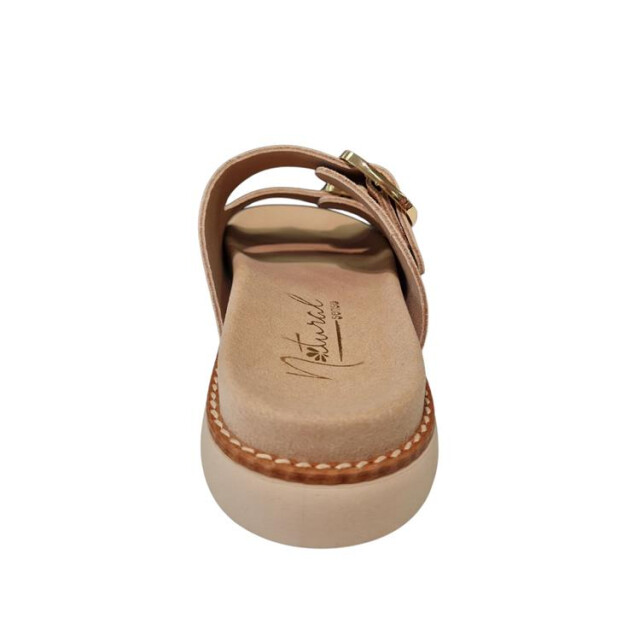 Natural Sense 11484 1143684 large