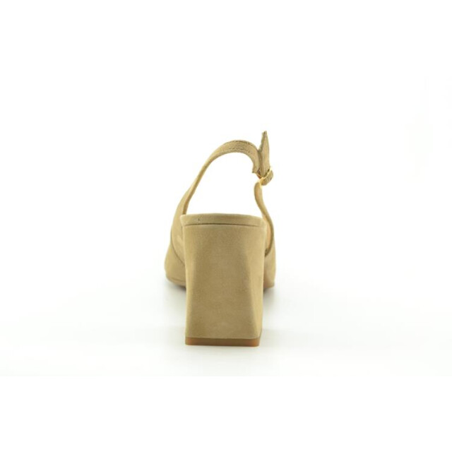 Paul Green 6101 Pumps Bruin 6101 large