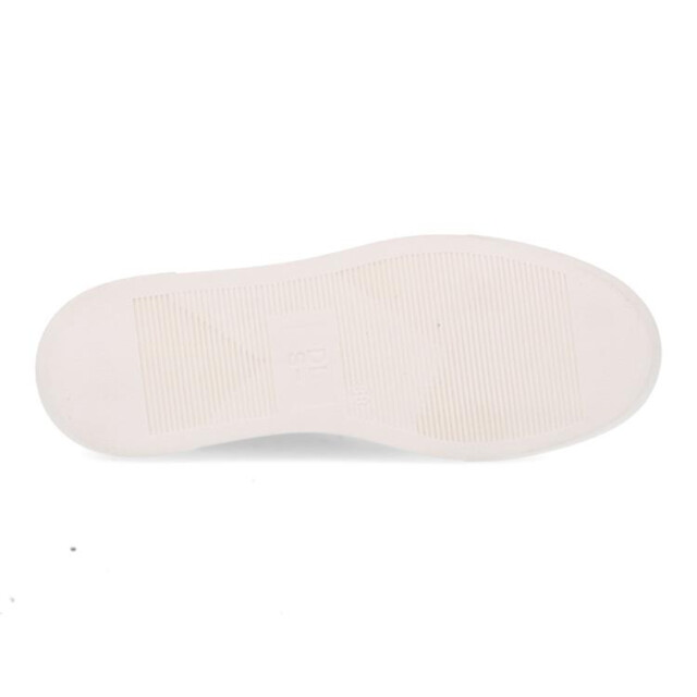 DL Sport 6516 6516 large