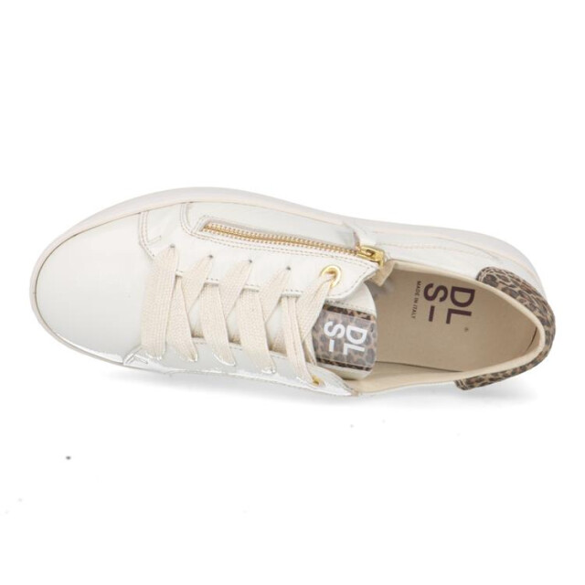 DL Sport 6504 6504 large