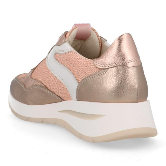 DL Sport 6559 6559 large