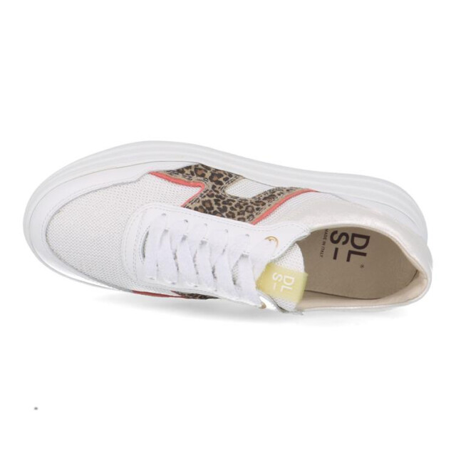 DL Sport 6512 6512 large