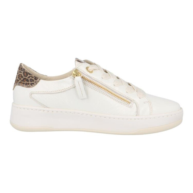 DL Sport 6504 6504 large