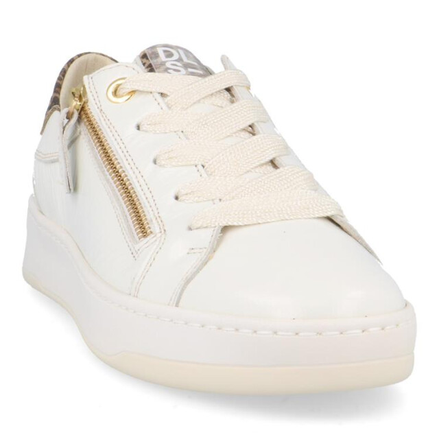 DL Sport 6504 6504 large