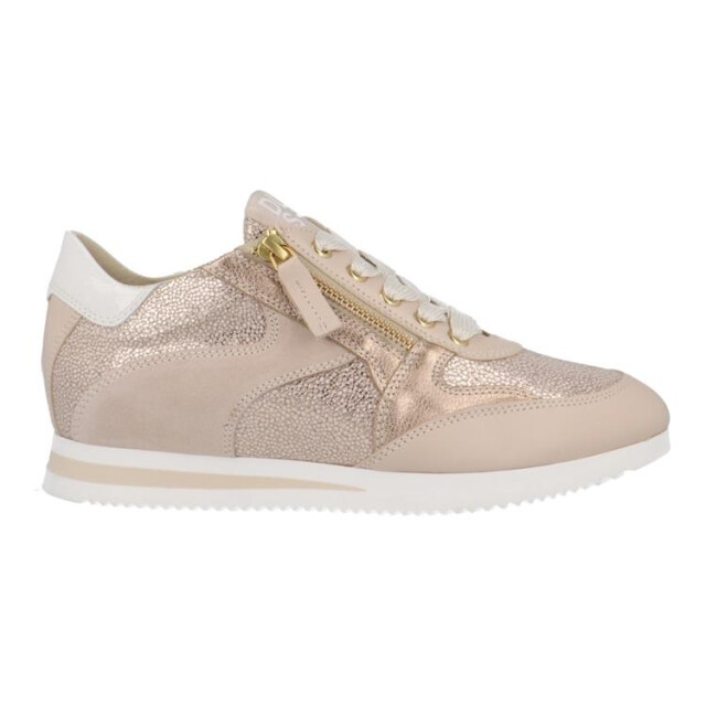 DL Sport 6566 6566 large