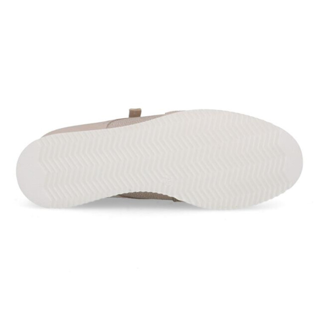 DL Sport 6566 6566 large