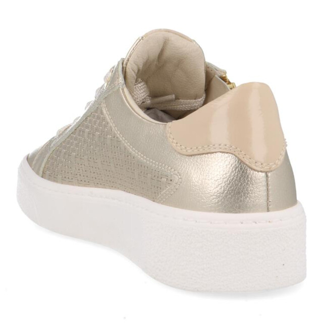 DL Sport 6516 6516 large