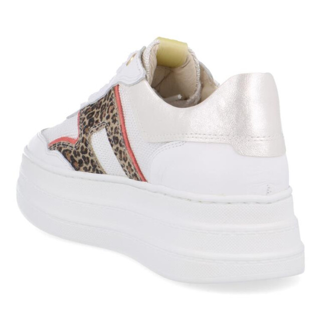 DL Sport 6512 6512 large