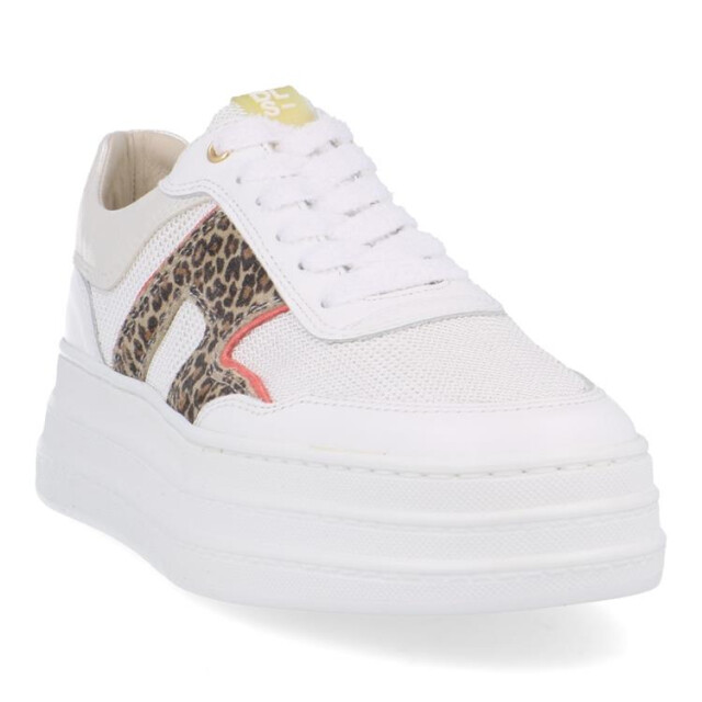 DL Sport 6512 6512 large