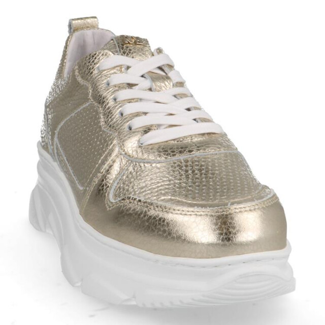 Red Rag 71566 Sneakers Goud 71566 large