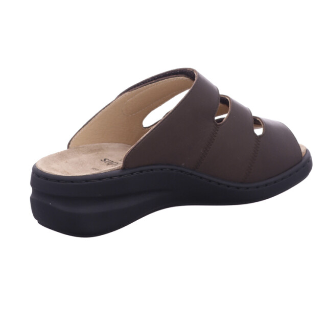 Solidus 21154 21154 Spezial large