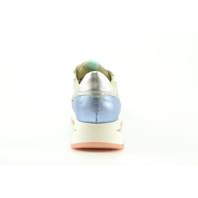 DL Sport 6559 6559 large