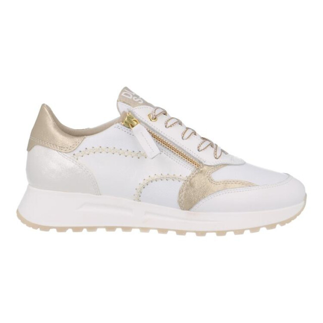 DL Sport 6529 6529 large