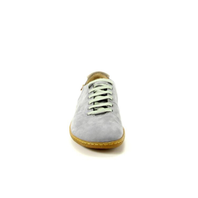 El Naturalista N296 N296 large