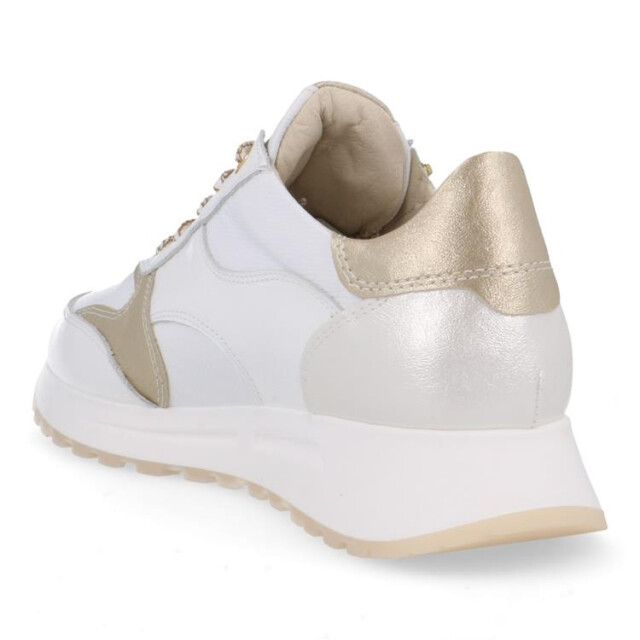 DL Sport 6529 6529 large