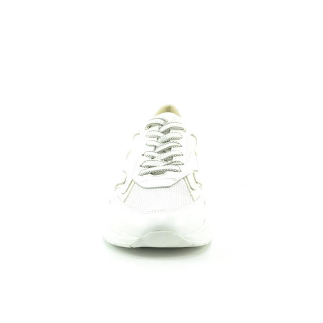 DL Sport 6540 6540 large