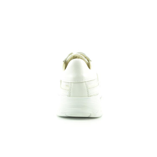 DL Sport 6540 6540 large