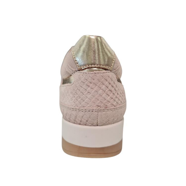 Helioform 280.008 280.008 large