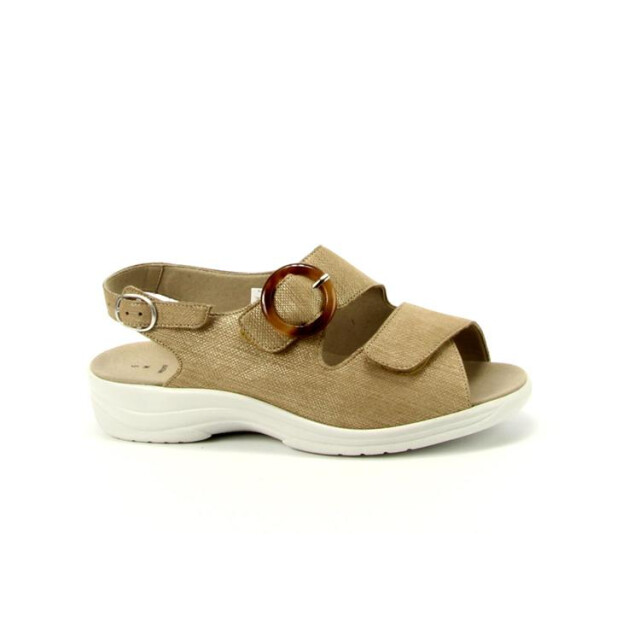 Solidus 74032 moni 032 74032 Moni large