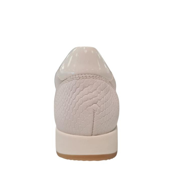 Helioform 243.004 wijdte h 243.004 wijdte H large