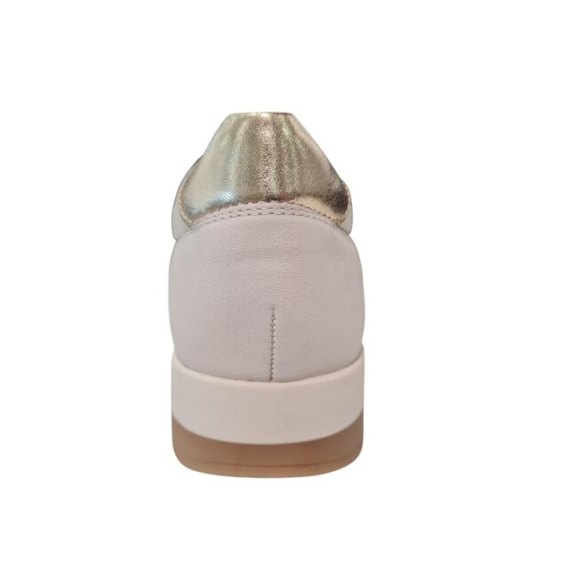 Helioform 249.005 k 249.005 K large