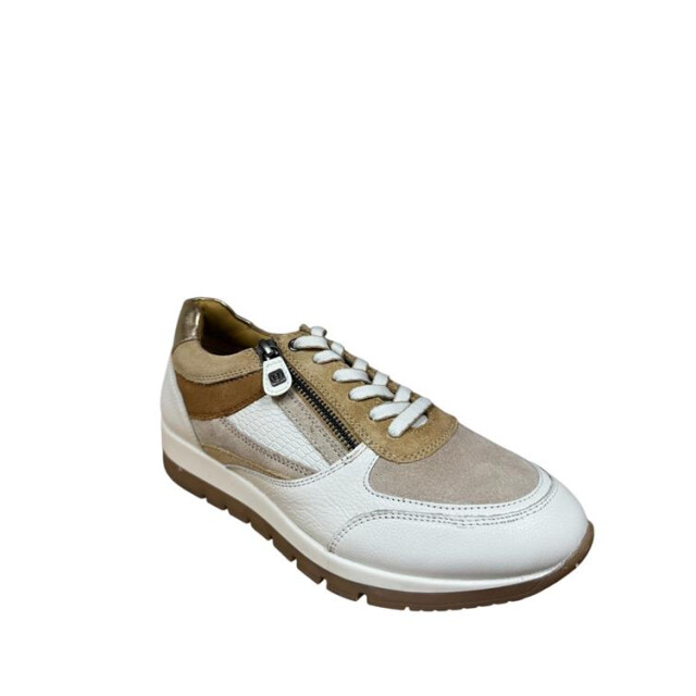 Helioform 249.005 k 249.005 K large