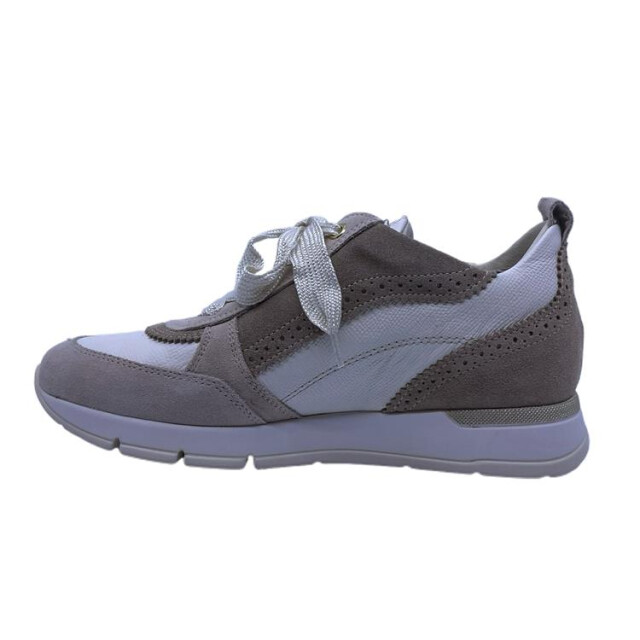 DL Sport 6523 6523 large