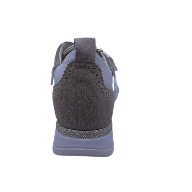 DL Sport 6523 6523 large