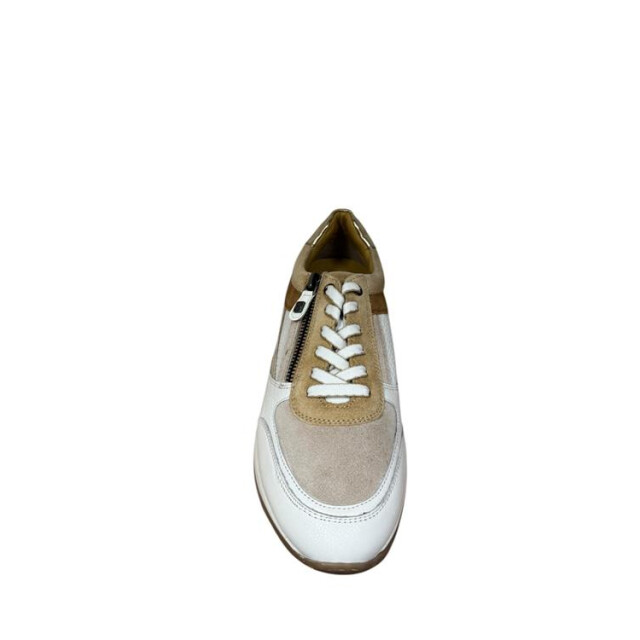 Helioform 249.005 k 249.005 K large