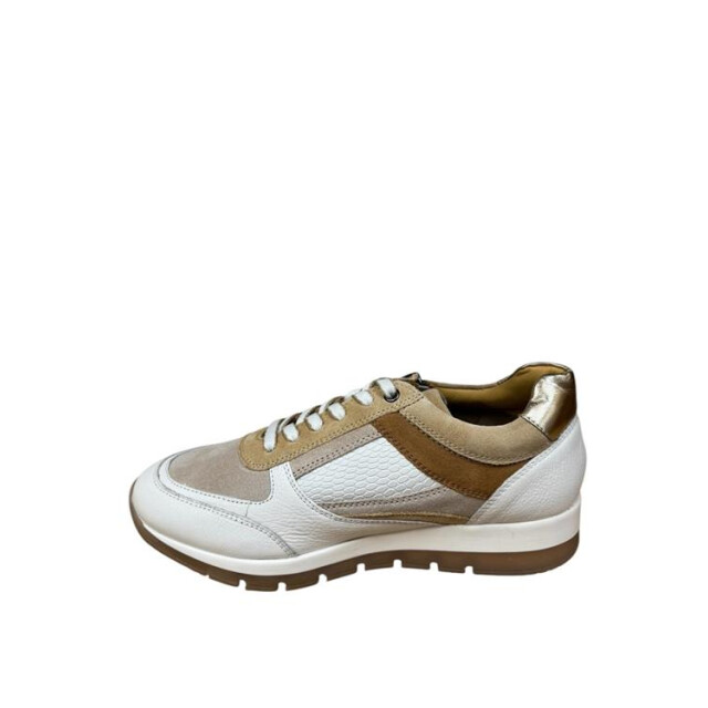 Helioform 249.005 k 249.005 K large