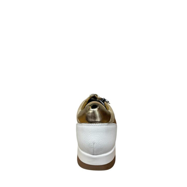 Helioform 249.005 k 249.005 K large
