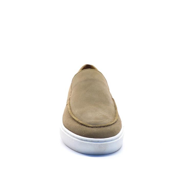 PS Poelman Lpgregory-08 LPGregory-08 large