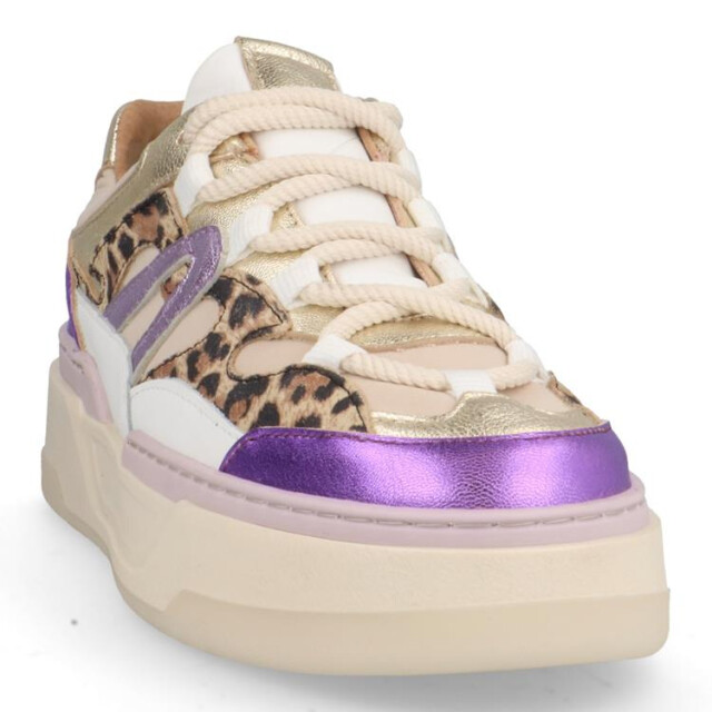 DWRS Label Walton leopard Walton leopard large