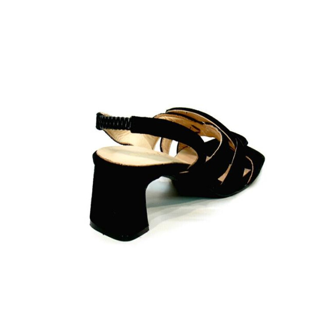 Babouche K-bente-2 K-BENTE-2 large