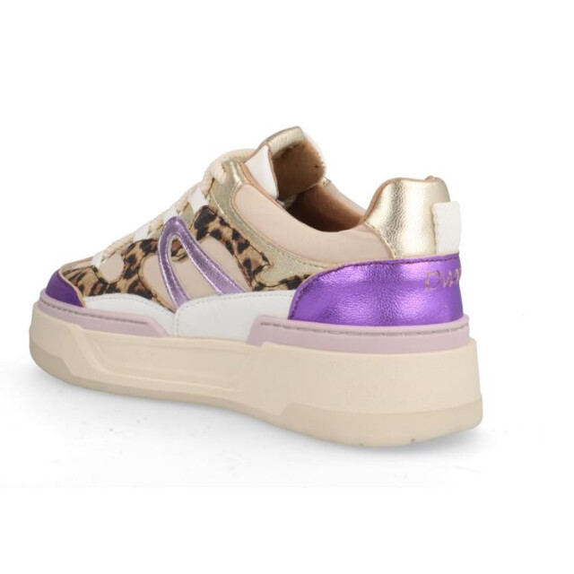 DWRS Label Walton leopard Walton leopard large