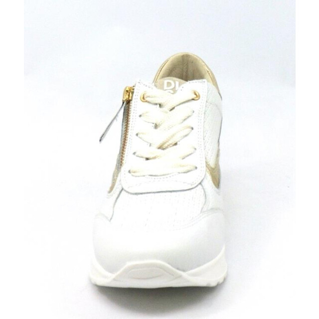 DL Sport 6576 6576 large