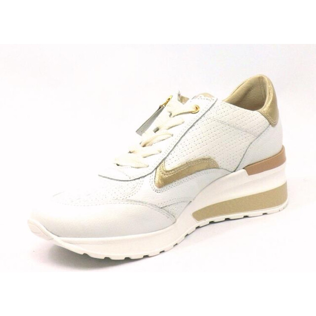 DL Sport 6576 6576 large